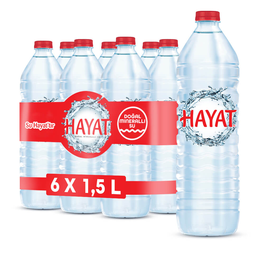 1.5 HAYAT