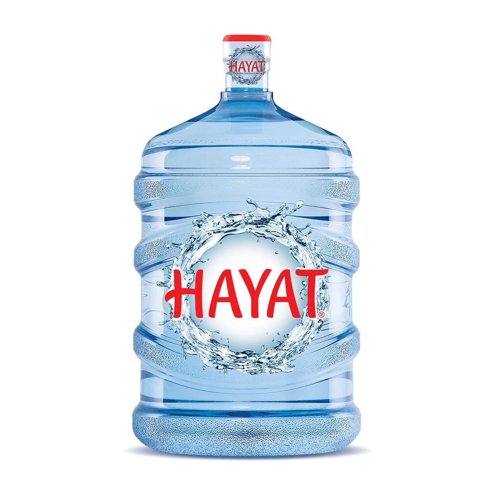 19 LT HAYAT